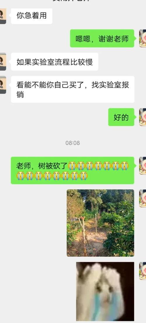 娱乐吃瓜君论文,揭秘娱乐圈幕后真相与八卦风云